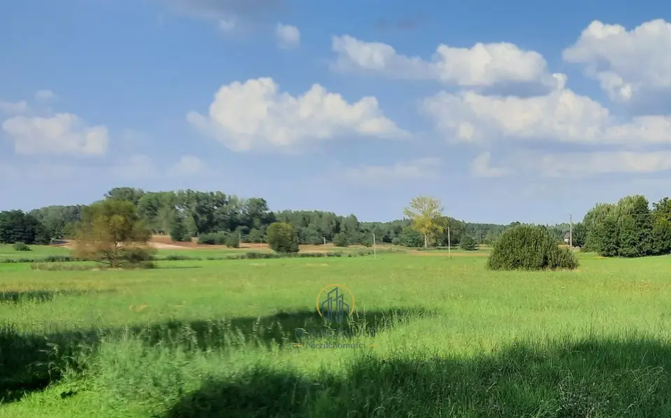 Zdjęcie 8