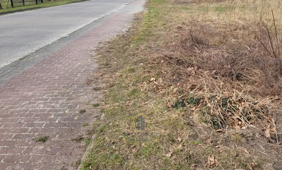 Zdjęcie 4