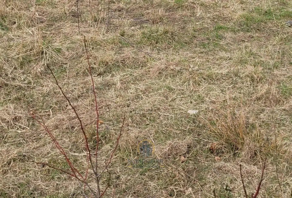 Zdjęcie 5