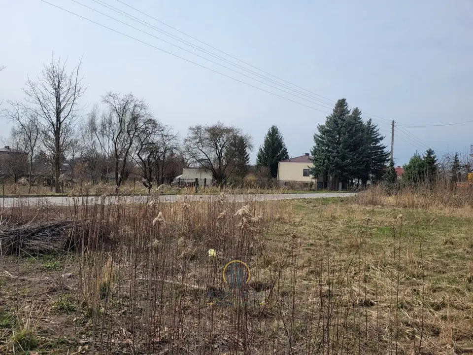 Zdjęcie 6