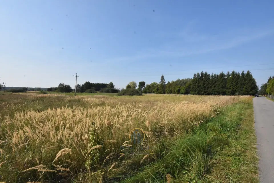 Działka siedliskowa 9 735 m², Kamionka
