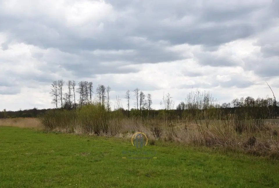 Działka rolna 5 586 m², Giżyce
