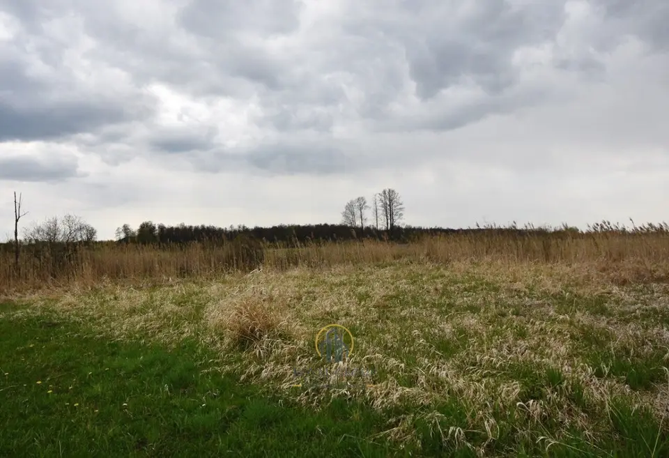 Zdjęcie 5