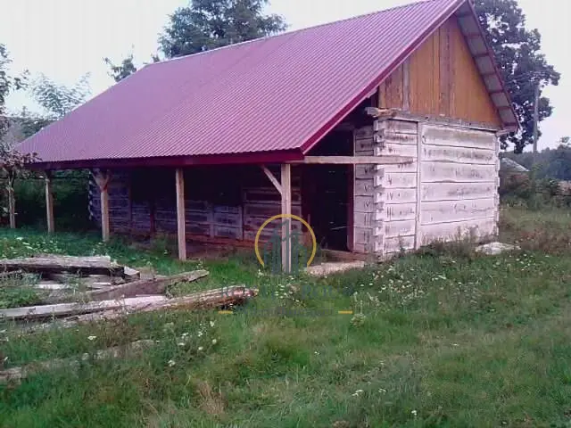 Zdjęcie 2