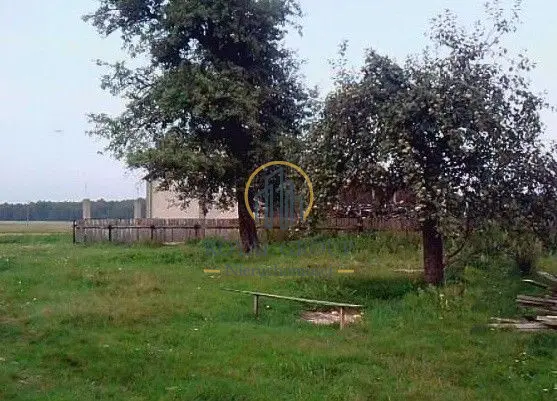 Zdjęcie 3