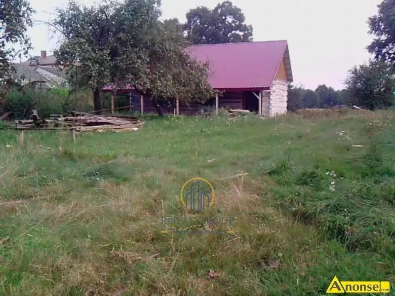 Zdjęcie 5