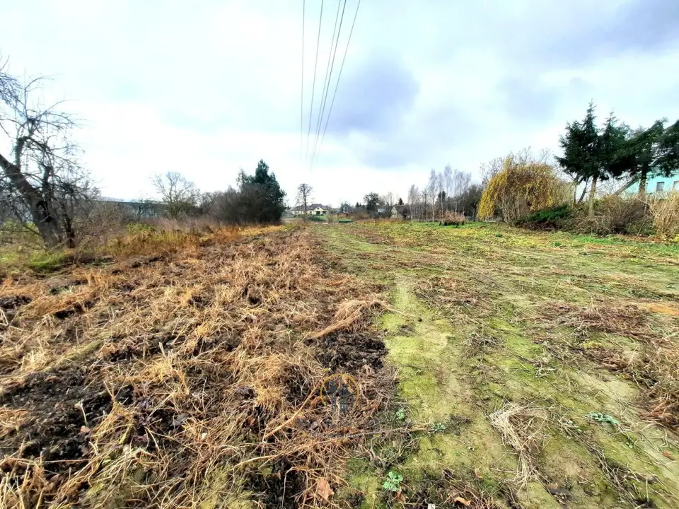 Zdjęcie 2