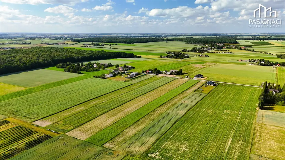Zdjęcie 7