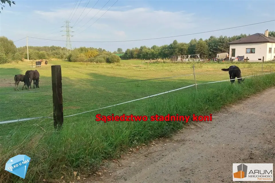 Działka budowlana i inwestycyjna 3 038 m², Wyrazów