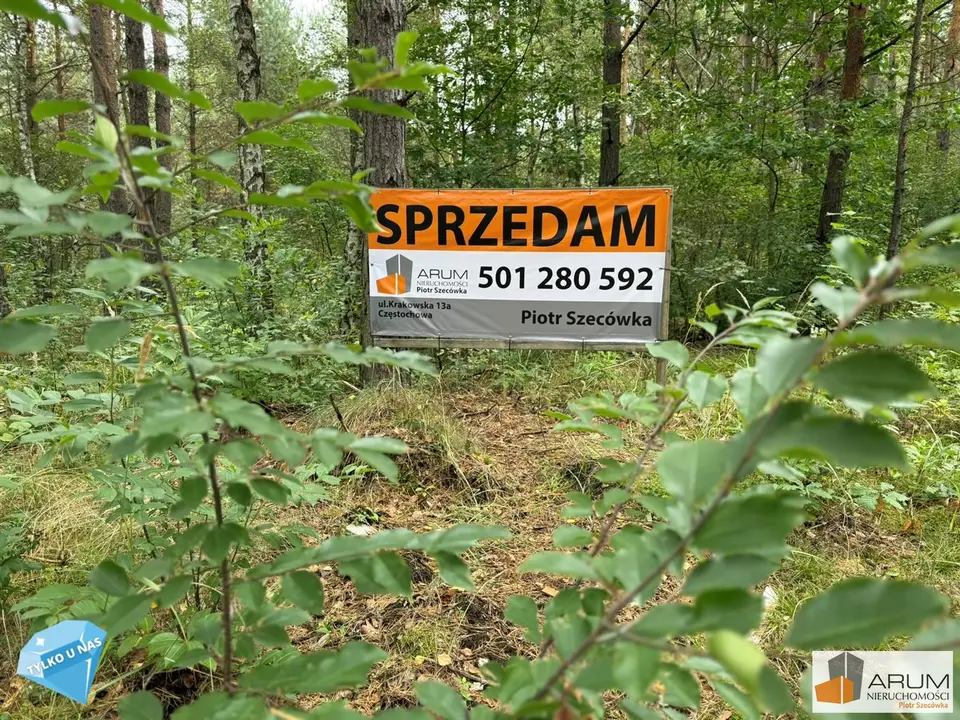 Działka inwestycyjna i leśna 1,68 ha, Wysoka Lelowska