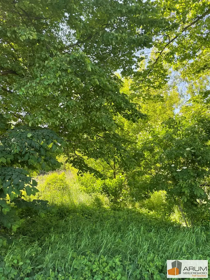 Działka rolna i leśna 8 000 m², Nowa Wieś