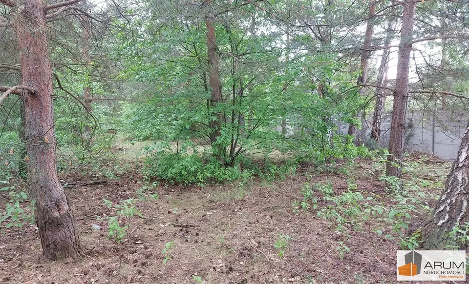 Zdjęcie 4