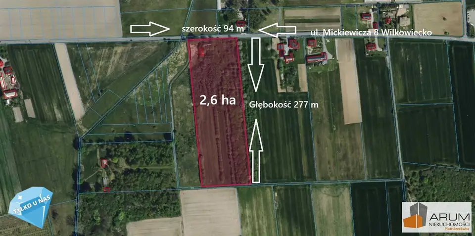 Działka budowlana i rolna 2,6 ha, Wilkowiecko