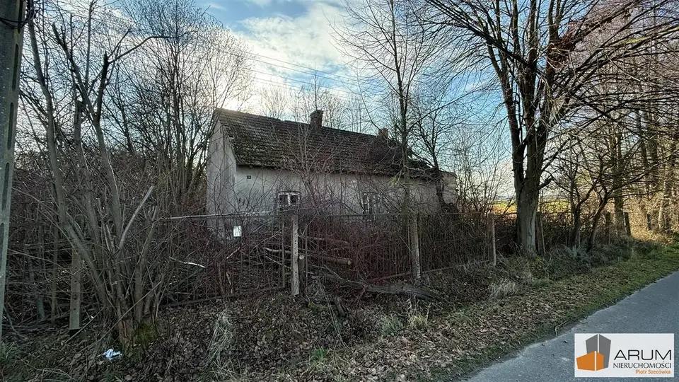 Zdjęcie 2