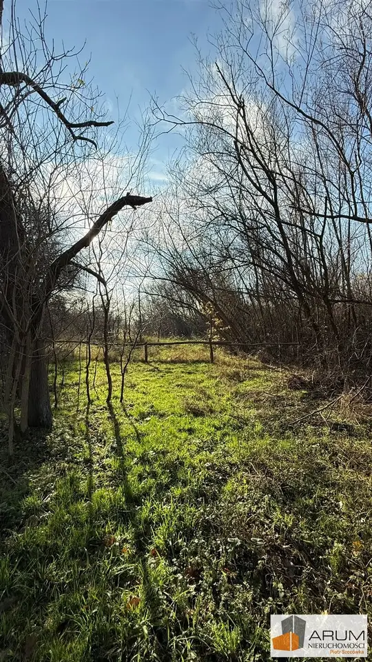 Zdjęcie 3