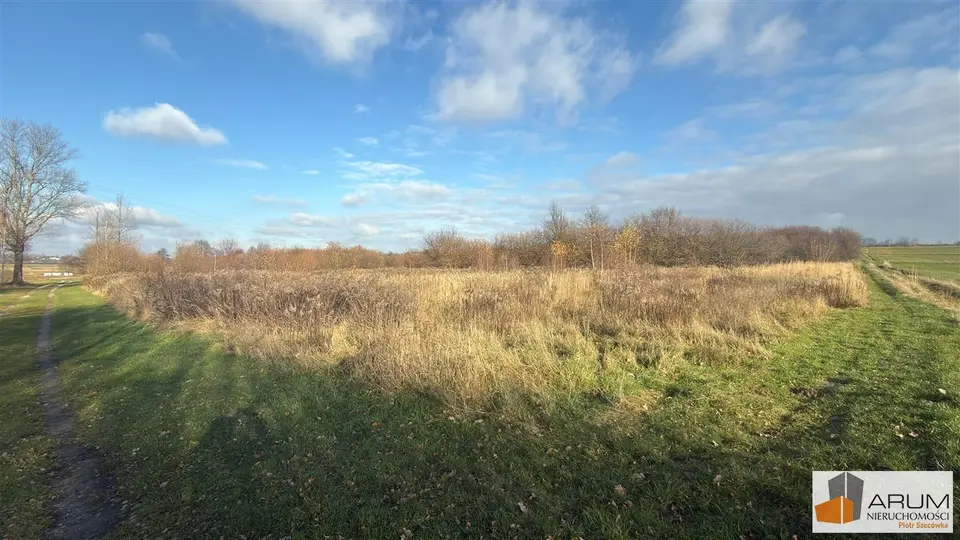 Zdjęcie 10