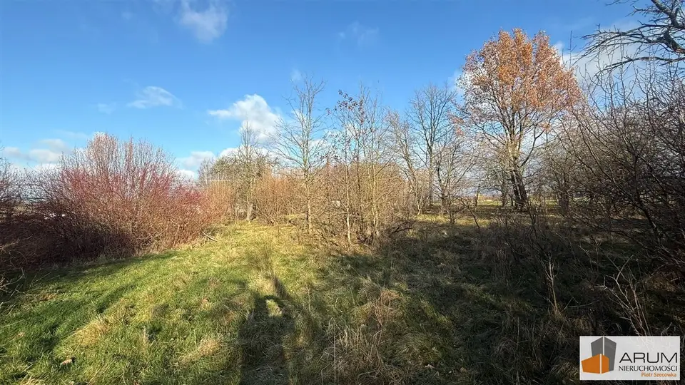 Zdjęcie 12