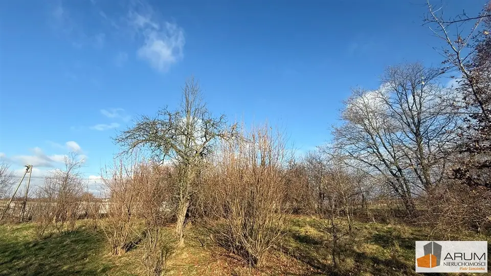 Zdjęcie 13