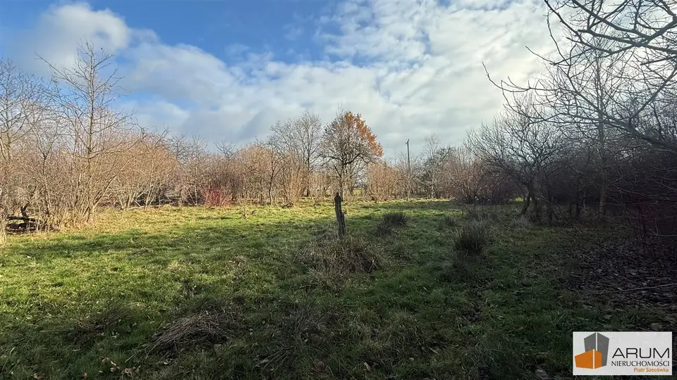Zdjęcie 14