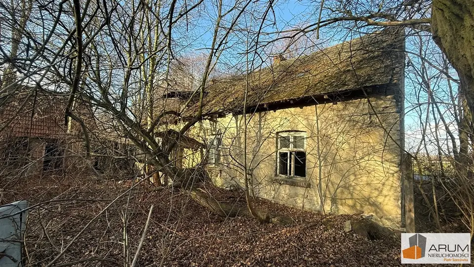 Zdjęcie 15
