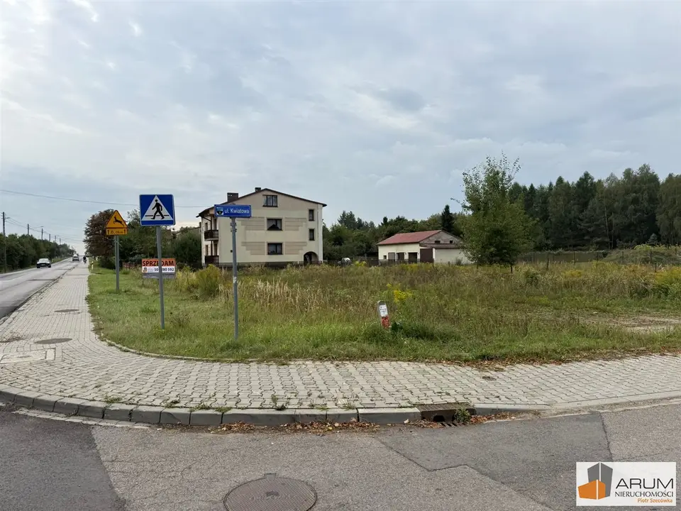 Zdjęcie 11
