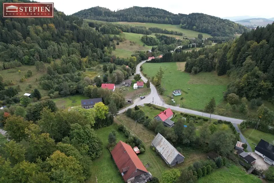 Zdjęcie 8