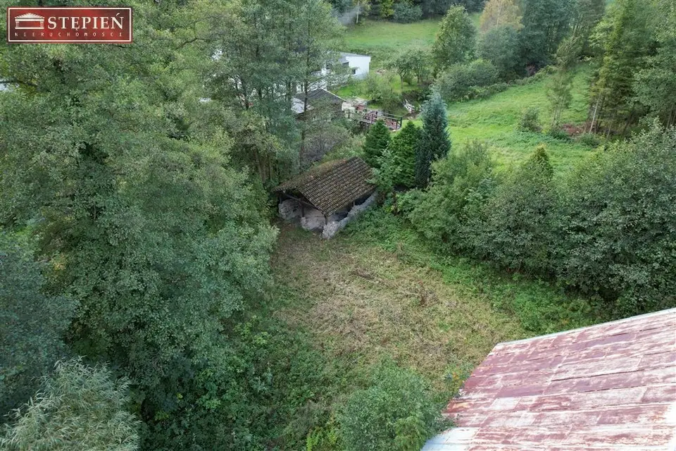 Zdjęcie 10