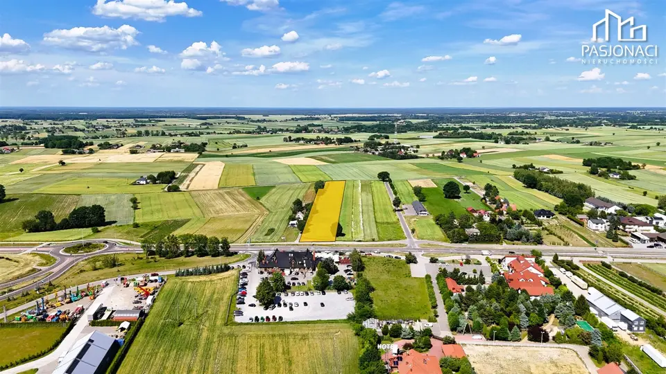 Zdjęcie 17