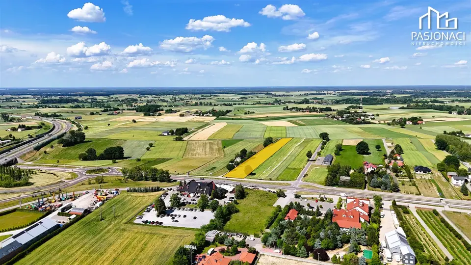 Zdjęcie 19