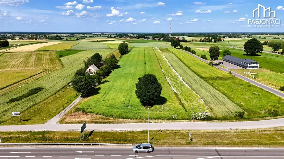 Zdjęcie 26