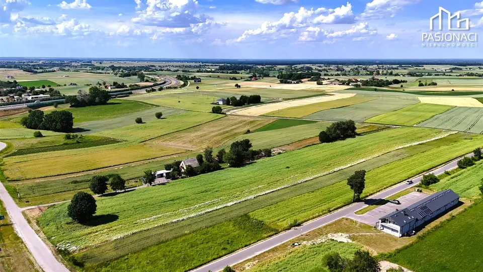 Zdjęcie 29
