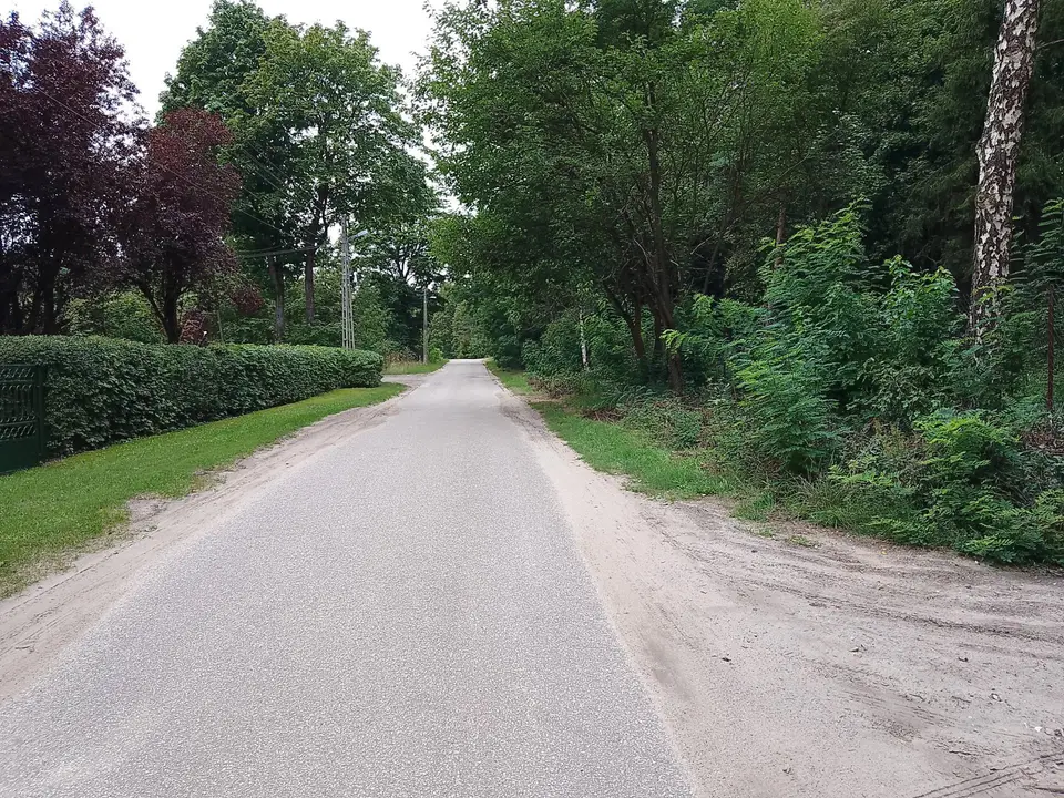 Zdjęcie 2