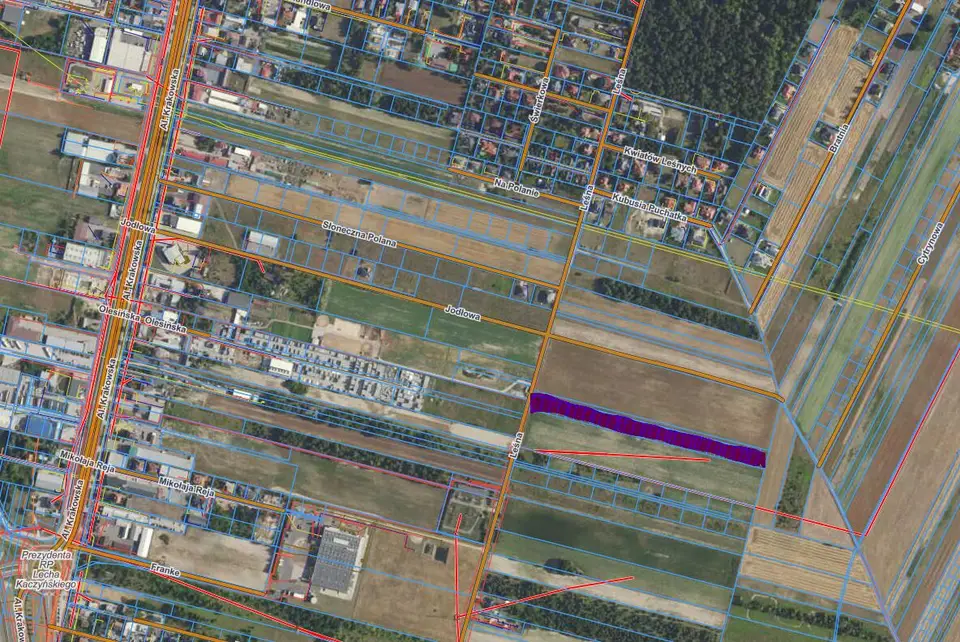 Zdjęcie 2