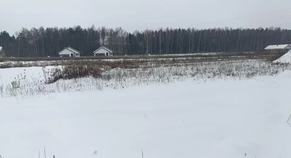 Zdjęcie 2