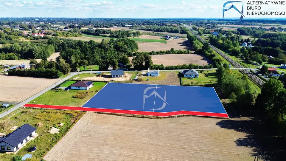 Zdjęcie 11