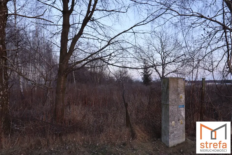 Zdjęcie 5
