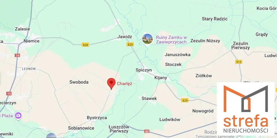 Zdjęcie 7