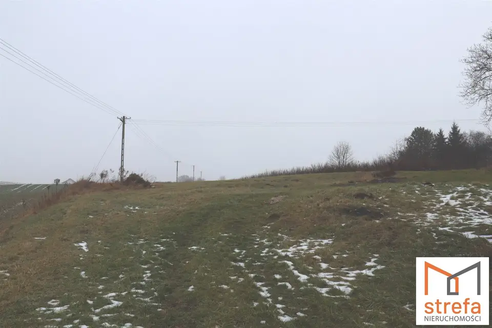 Zdjęcie 2