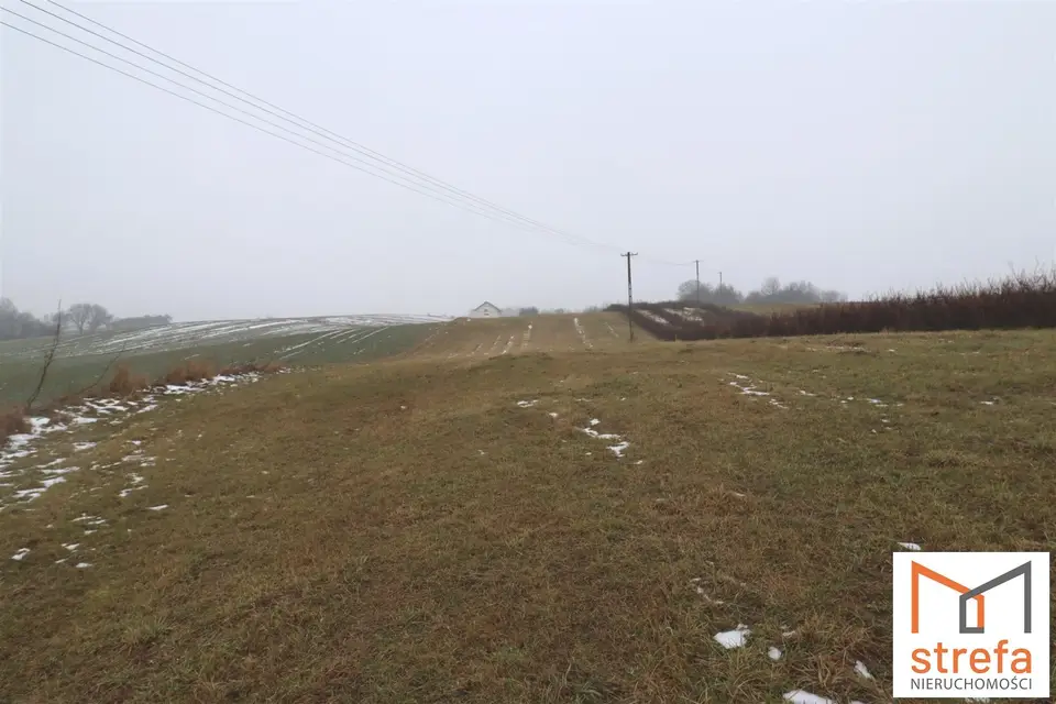 Zdjęcie 3