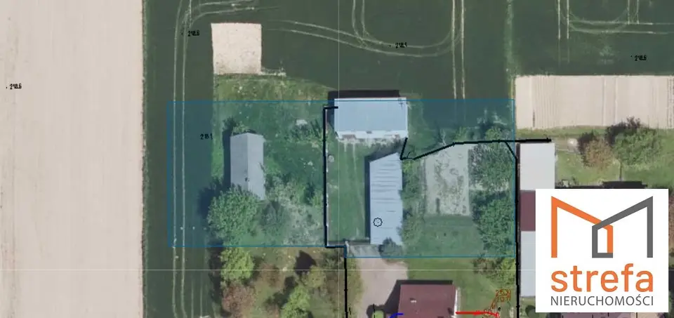 Zdjęcie 10