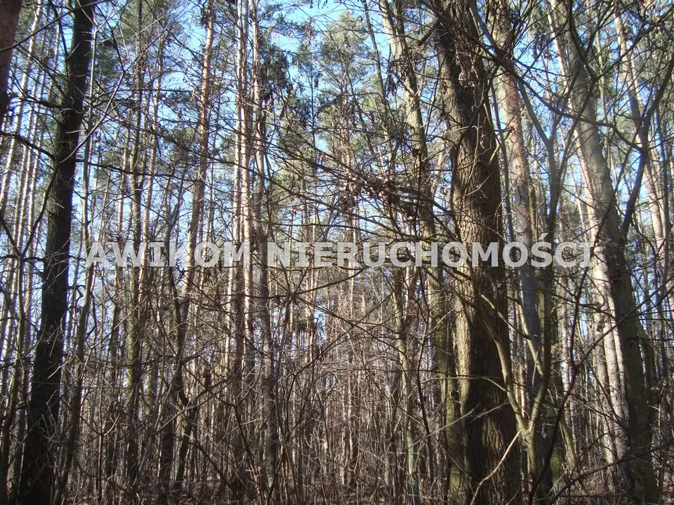Zdjęcie 2