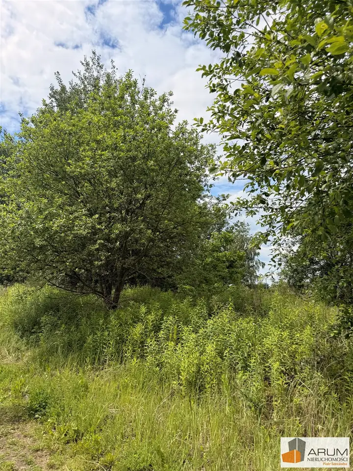 Zdjęcie 3
