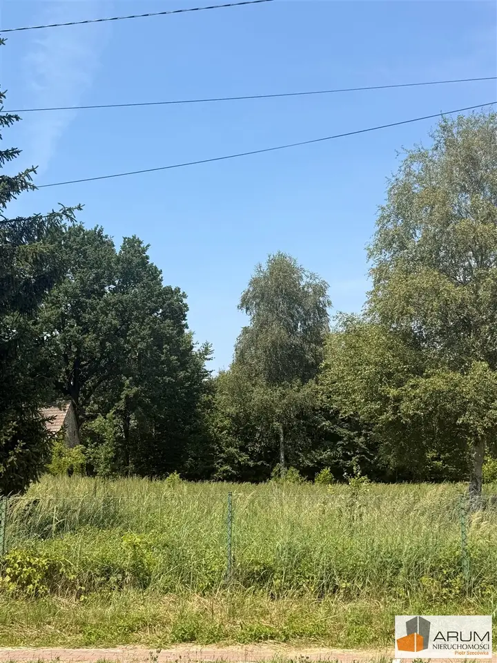 Zdjęcie 3
