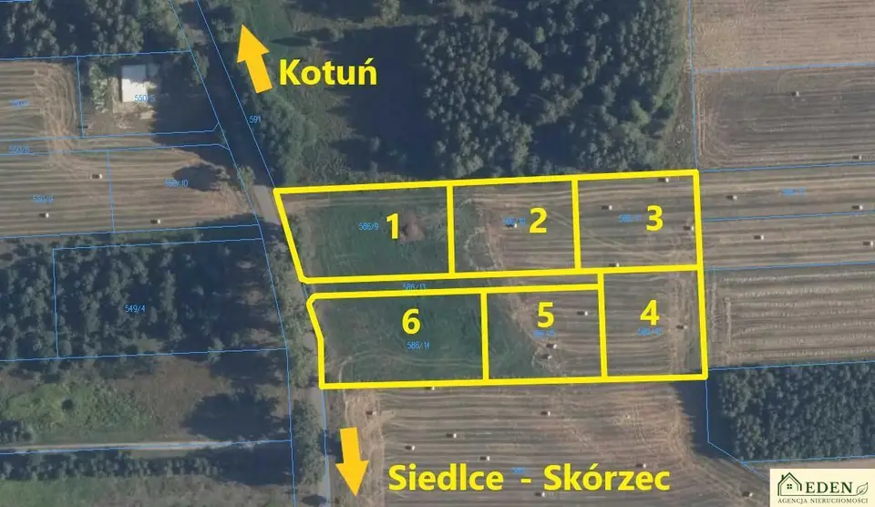Zdjęcie 2