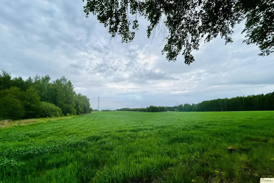 Zdjęcie 10
