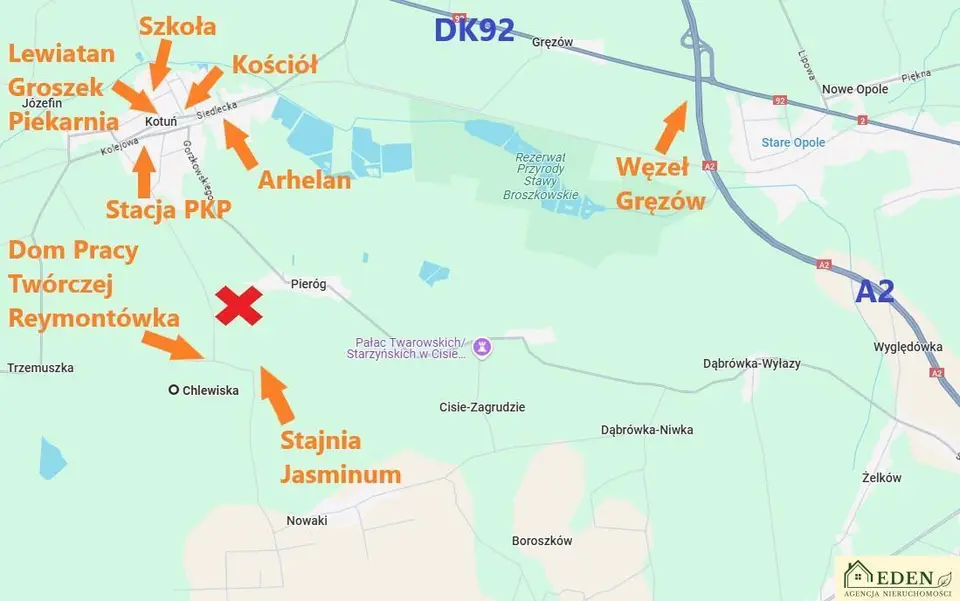 Zdjęcie 11