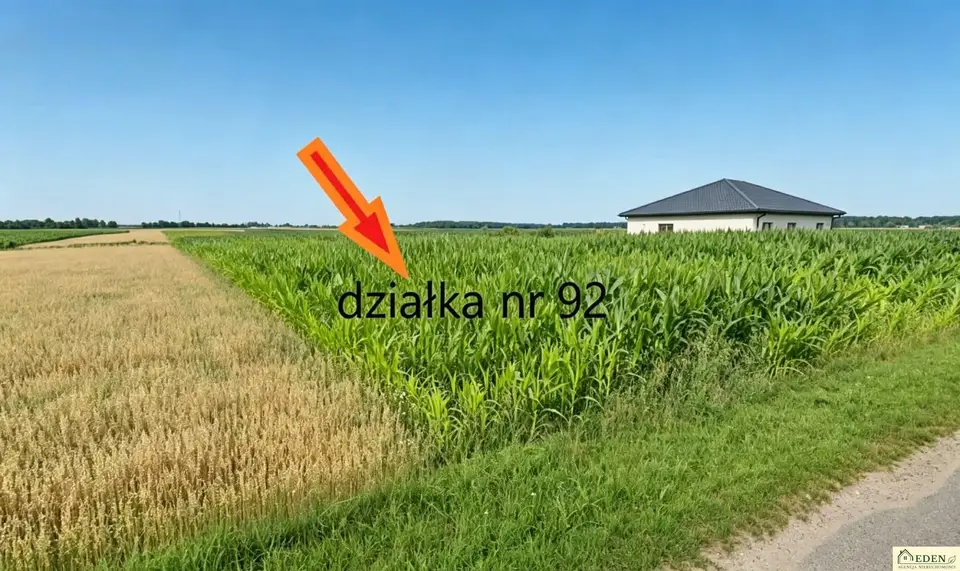 Zdjęcie 2