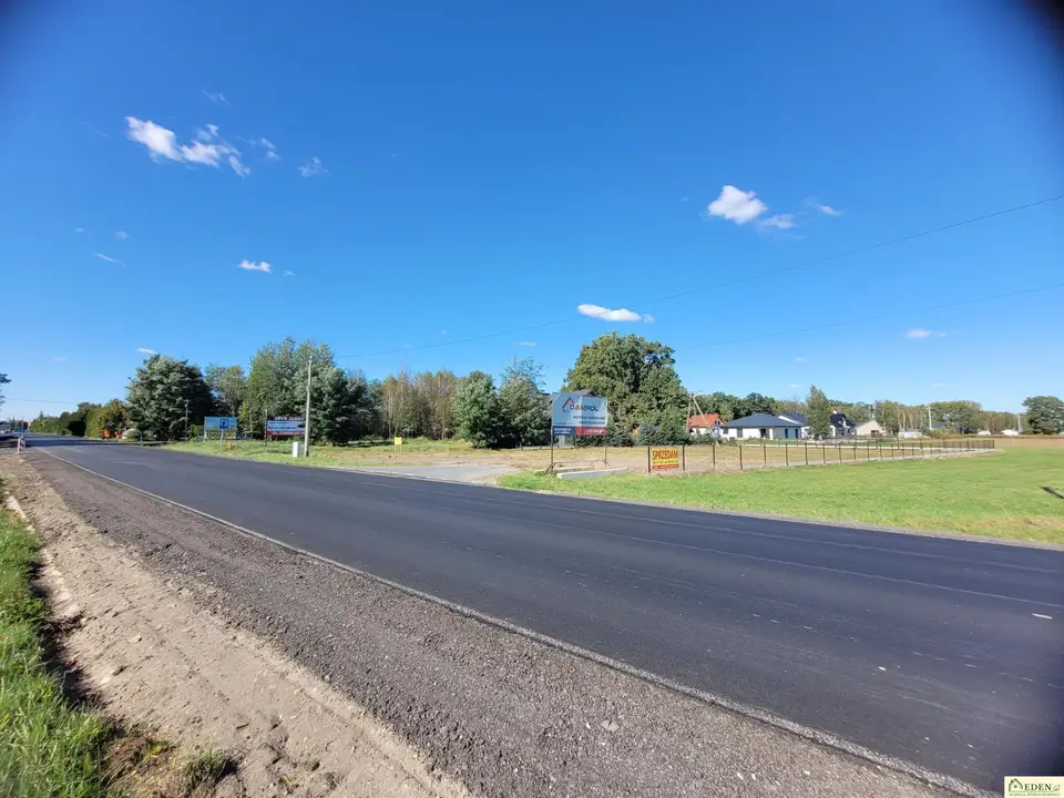 Zdjęcie 10