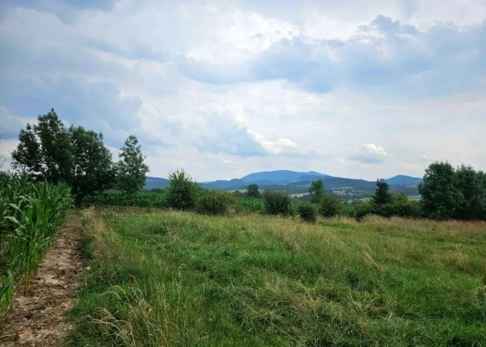 Działka leśna 3 290 m², Puńców