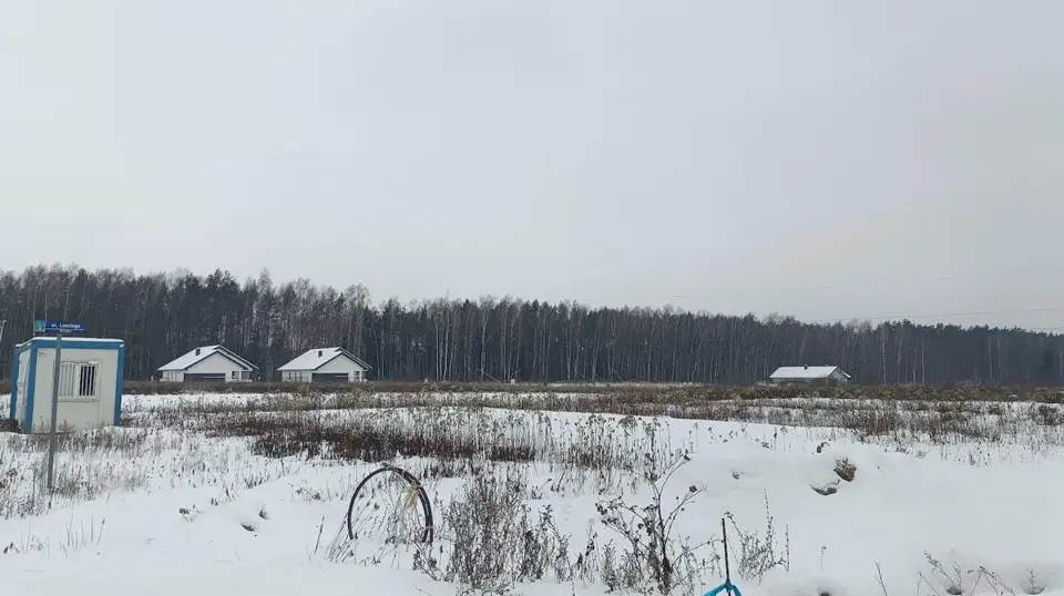 Zdjęcie 13